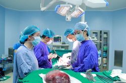 Cắt thành công khối u máu thể hang gan khổng lồ
