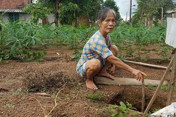Nỗi lo ở Mõm Lang