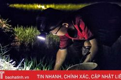 Theo chân người Hà Tĩnh lội bùn, đội đèn bắt cua đồng