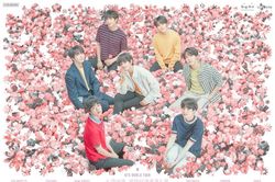 BTS tiêu thụ số vé kỷ lục trong tour lưu diễn vòng quanh thế giới