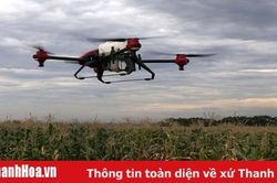 Xã Hoằng Đại thực hiện mô hình ứng dụng công nghệ, liên kết sản xuất, gắn với bao tiêu sản phẩm