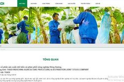 HNG chuyển nhượng Cao su Đông Dương cho Thadi