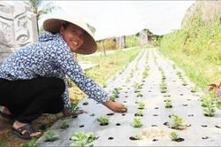 Kinh tế Nông nghiệp - Nông thôn Biến đất thành 'vàng'