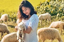 Check-in liền tay đồng cừu Suối Tiên mới toanh 'sát vách' Ninh Thuận