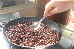 Kinh ngạc món kiến mông to - đặc sản ngon khó cưỡng của Colombia