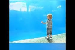 Đi thủy cung chơi cũng vui lắm chứ đâu có nhạt nhẽo