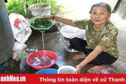'Khát' nước sạch ở xã nông thôn mới Hải Châu