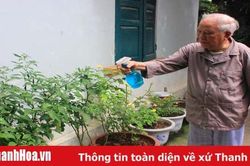 Cây xanh thì lá cũng xanh...
