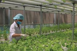 Kinh tế Khoa học - công nghệ Phát triển nông nghiệp theo hướng thích nghi