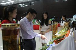 Ứng dụng khoa học, công nghệ vào bảo tồn và phát triển sâm Ngọc Linh