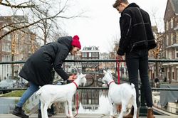 Đến Amsterdam để được 'tặng' chồng và hưởng trăng mật miễn phí