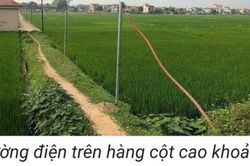 Món quà lớn nhất là niềm vui của người dân