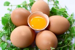 Thực phẩm tuyệt vời giảm đau nhức và cho xương chắc khỏe