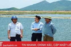 Báo Hà Tĩnh đạt giải C Giải Báo chí Quốc gia lần thứ XIII: Trăn trở cùng 'đội ngũ không chuyên trách'