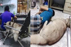 Vợ bóc phốt chồng và 'con trai riêng' quá thân thiết bỏ rơi mình, cư dân mạng lại trầm trồ khen ngợi