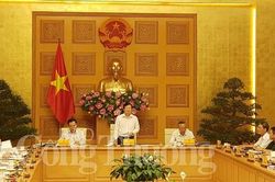 Ban Chỉ đạo về IUU họp bàn giải pháp gỡ 'thẻ vàng' của EC đối với hải sản Việt Nam