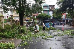 Bảo Lộc: Gió giật mạnh làm cây xanh gãy đổ đầy đường