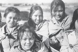 Lửa thanh xuân