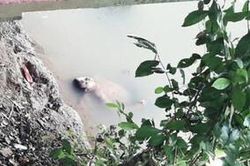 Thấy 'xác' trôi nổi trên sông, người dân gọi báo cảnh sát nhưng khi tới nơi ai cũng 'chạy mất dép'