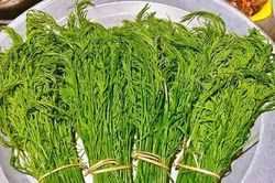 Đặc sản rau hôi vùng cao