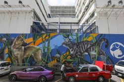 Khó rời mắt khỏi những siêu phẩm tranh tường trên đường phố Hong Kong