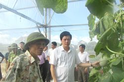 Con Cuông nỗ lực về đích nông thôn mới