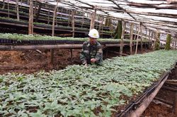 Bộ KHCN phải xử lý hơn 32 tỷ đồng tiền sai phạm
