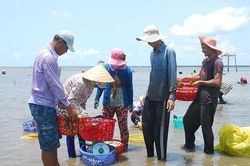 Khai thác hiệu quả kinh tế vùng ven biển