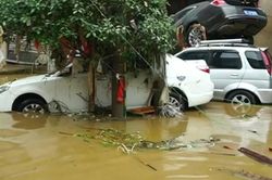 Lũ lụt do mưa lớn làm ít nhất 6 người thương vong