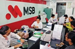 Áp dụng Basel II: Phân hóa ngân hàng sẽ ngày càng rõ nét