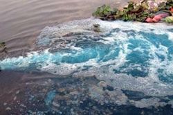 Nước thải từ nhà máy trong KCN Biên Hòa 1 đổ thẳng ra sông Đồng Nai