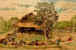 Nghi - Miến - Sơn - Phềnh: Những dấu ấn tiên phong khó phai mờ
