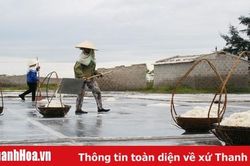 6 tháng năm 2019, sản lượng muối toàn tỉnh đạt 4.630 tấn