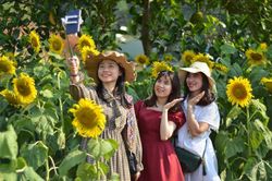 Lượng khách đến Gia Lai tăng 26,2%