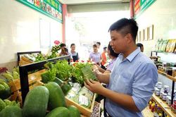 Cửa hàng nông sản gói rau bằng lá chuối thay thế túi nilon