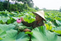 Chọn con đường riêng để theo đuổi ước mơ