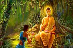 Phật dạy: Muốn hạnh phúc hãy làm điều này mỗi ngày