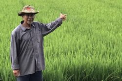 An Giang: Uẩn khúc trong vụ phân chia tài sản ly hôn?