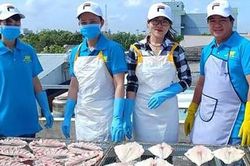 Đặc sản khô biển Gành Hào