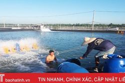 Kinh tế tập thể tạo việc làm cho gần 3.000 lao động Lộc Hà