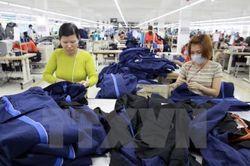 Cam kết về thuế xuất khẩu và hàng rào phi thuế trong EVFTA