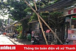TP Thanh Hóa: Cáp viễn thông sà xuống đường gây nguy cơ mất an toàn