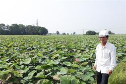 Ghi nhận ở một chi hội nông dân vùng trũng