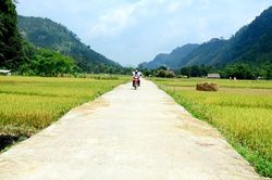 Lâm Bình bê tông hóa đường giao thông nông thôn