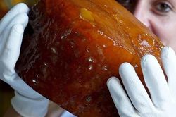 Hổ phách được khai thác ở Nga thế nào?