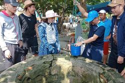Độc đáo giếng cổ Hội An