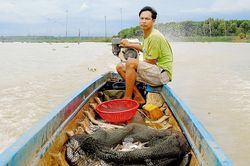Làng cất vó bên sông