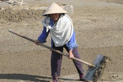 Miền Bắc sắp giảm nhiệt, miền Trung vẫn 'vật vã' với nắng nóng