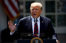 Tổng thống Trump 'nước đôi' về đàm phán thương mại Mỹ- Trung