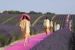 Clip: Sàn catwalk nằm giữa cánh đồng hoa oải hương khiến nhiều người xao xuyến